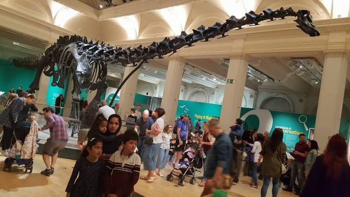 ‘Dippy’ the dinosaur at Birmingham Museum Exibition